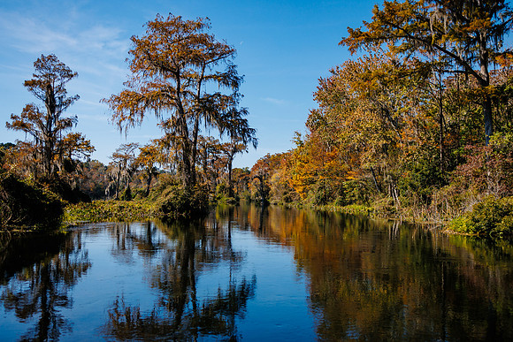Florida_11-23-36