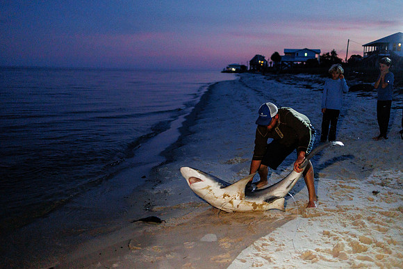 Florida_11-23-87