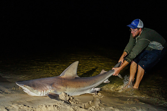 Florida_11-23-110