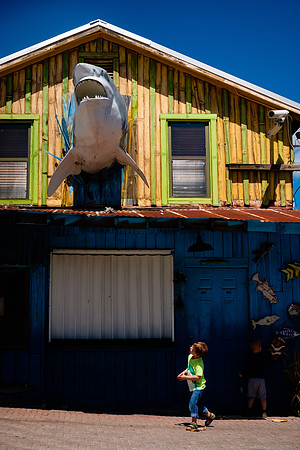 Florida_Trent-8