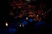 Scott_Lily_Engagements-Edited-11