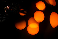 Scott_Lily_Engagements-Edited-14