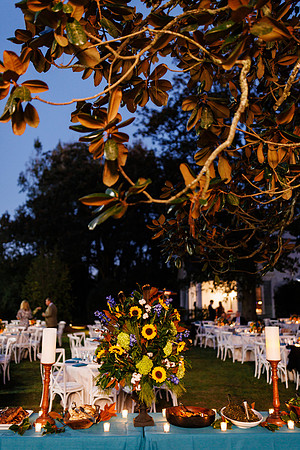 D_M-WelParty-95