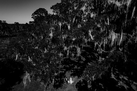 D_M-Edited-254