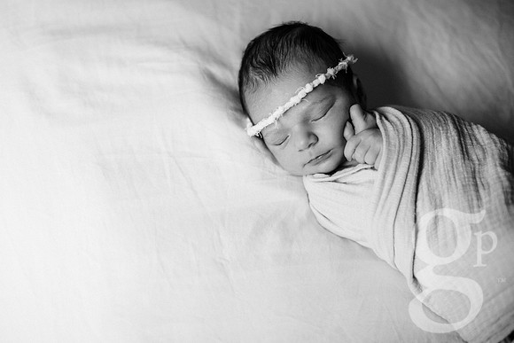 Lulu_Newborn-18