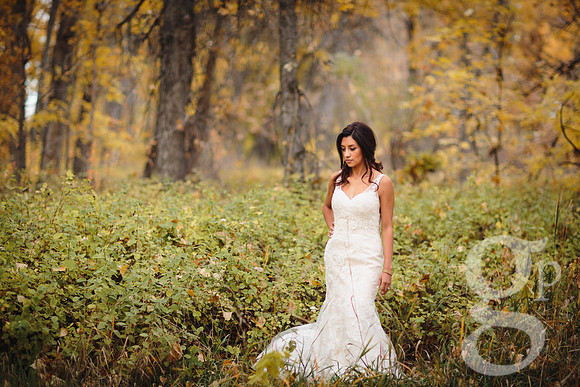 Erica-Carlos-Bridal-Edited-3