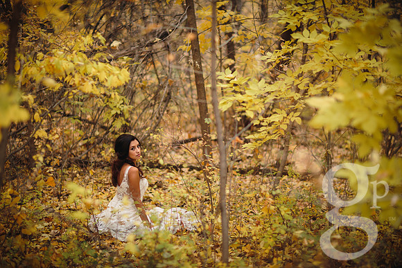 Erica-Carlos-Bridal-Edited-99