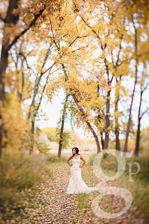 Erica-Carlos-Bridal-Edited-31
