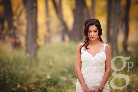 Erica-Carlos-Bridal-Edited-30