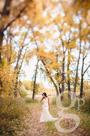 Erica-Carlos-Bridal-Edited-32