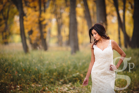 Erica-Carlos-Bridal-Edited-20