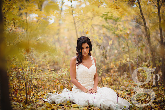 Erica-Carlos-Bridal-Edited-93