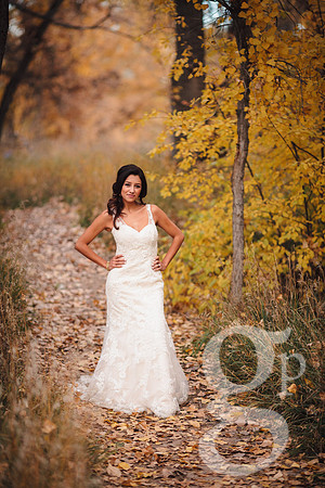 Erica-Carlos-Bridal-Edited-62
