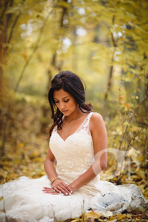 Erica-Carlos-Bridal-Edited-75