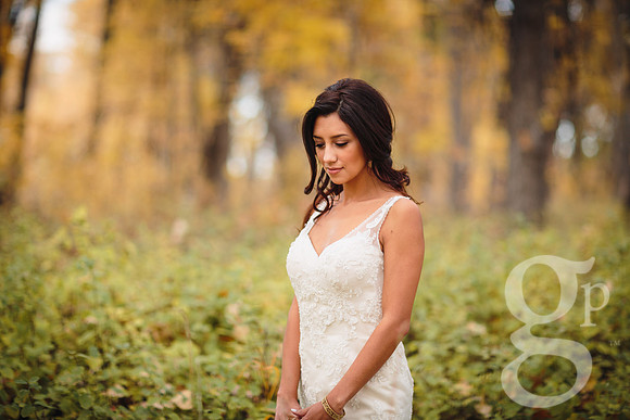 Erica-Carlos-Bridal-Edited-9