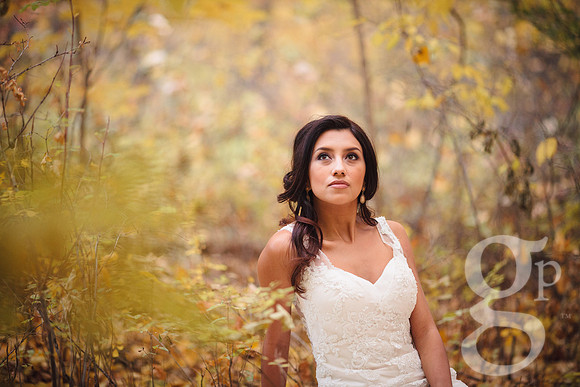 Erica-Carlos-Bridal-Edited-100
