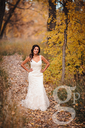 Erica-Carlos-Bridal-Edited-61