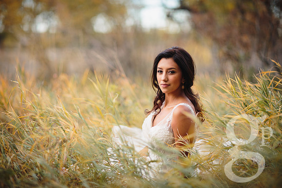 Erica-Carlos-Bridal-Edited-43
