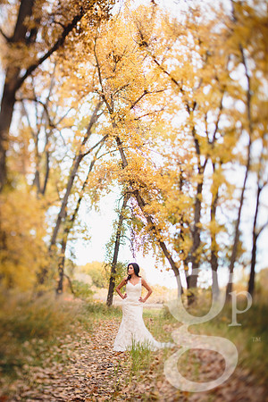 Erica-Carlos-Bridal-Edited-29