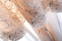 Russell_Caroline_Wdg-Detail-12