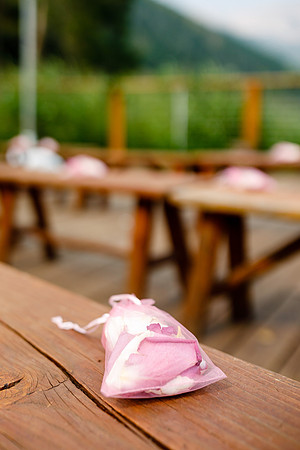 Russell_Caroline_Wdg-Detail-58