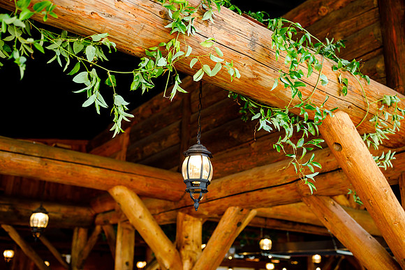 Russell_Caroline_Wdg-Detail-49