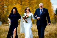Wedding - All Edited (no detail or group)