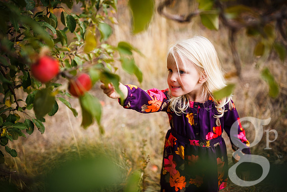 Estes_Family_Fall2016-Edited-119