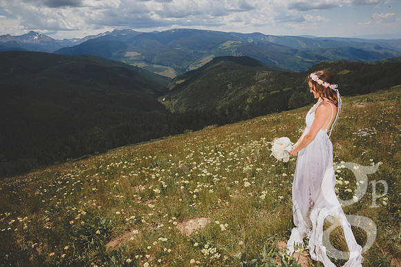 Standard_Favs-34