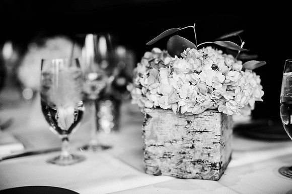 Scott_Danielle_BW-3