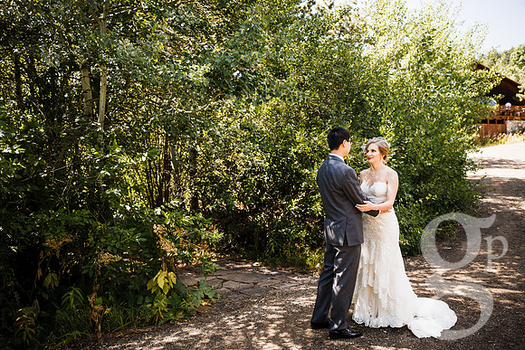 David_Amanda_Edited-119