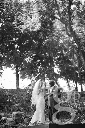 Tg_B&W-106