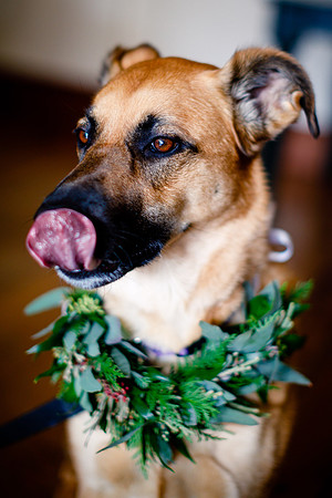 Ryan_Meghan_Wdg-GP_Edited-148