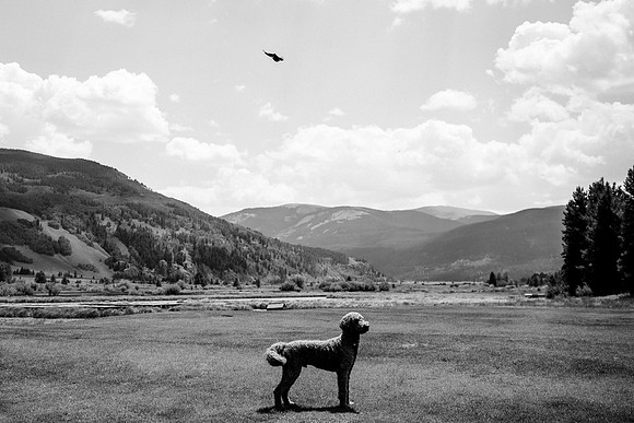 Mike_Abby_Wdg-Edited-17