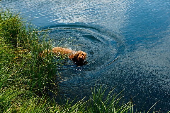 Mike_Abby_Wdg-Edited-21