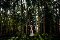 MIke_Dana_TellurideWedding-11