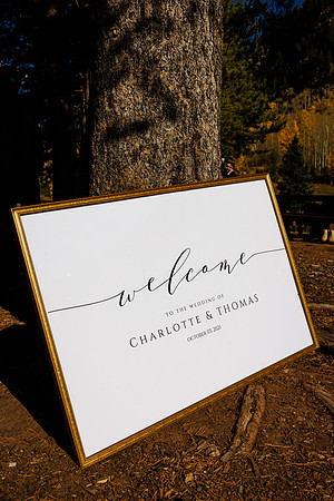 Tommy_Charlotte_Wdg-Detail-19