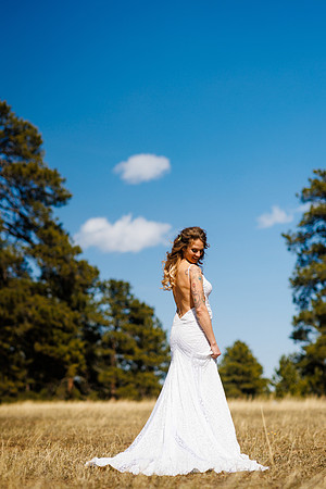Aaron_Liz_Wdg-Edited-126