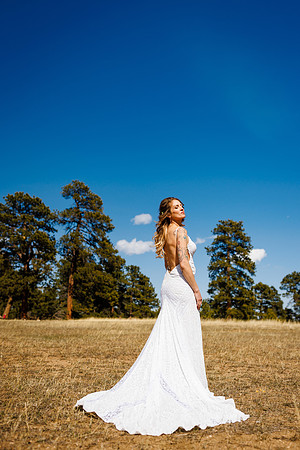 Aaron_Liz_Wdg-Edited-121