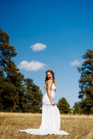 Aaron_Liz_Wdg-Edited-127