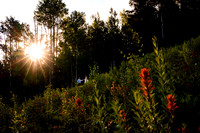 Pam_Mike_Wedding-Edited-19