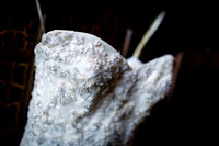 Joel_Kate_Detail-12