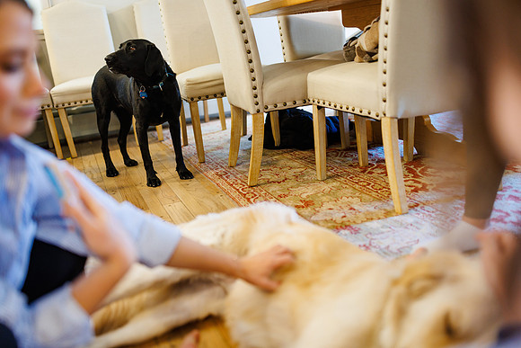 Charlie_McCauley_Wdg-Edited-48