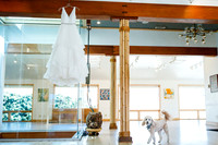 Collin_Jacquelin_Wdg_Edited-20