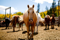 Andrew_Karen_Wdg-Detail-10