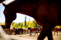 Andrew_Karen_Wdg-Detail-12