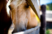 Andrew_Karen_Wdg-Detail-11