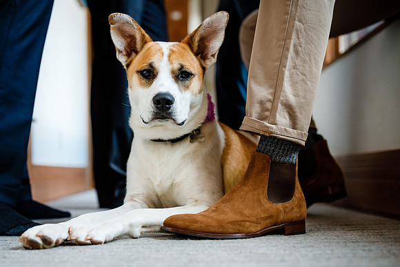 Andrew_Meltem_Wdg-Edited-53