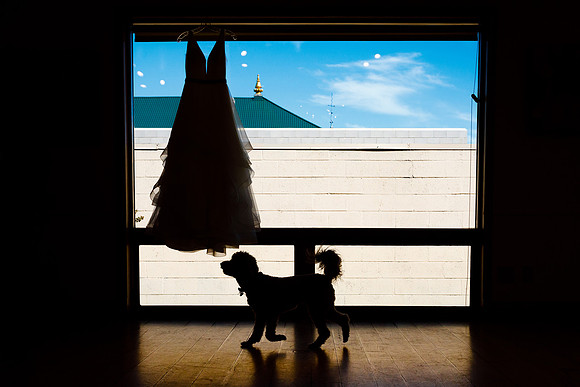 Collin_Jacquelin_Wdg_Edited-23