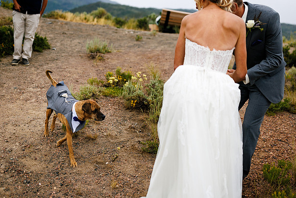 Amy_Anthony_Wedding_Edited-103
